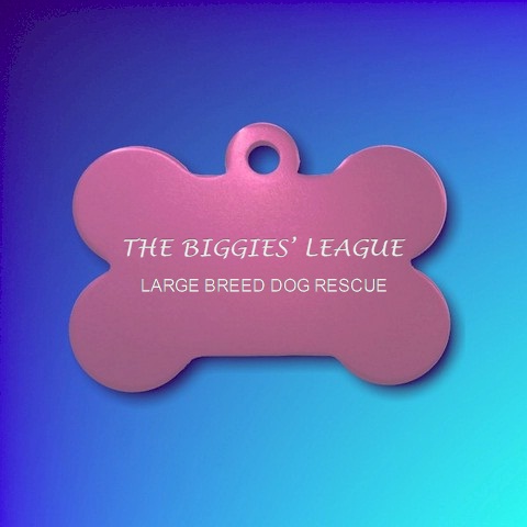 Biggies League Aluminium Bone PINK