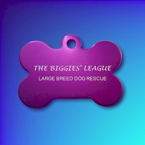 Biggies League Aluminium Bone PURPLE