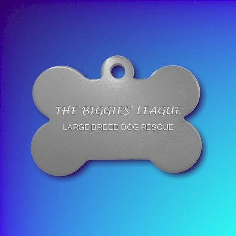 Biggies League Aluminium Bone SILVER