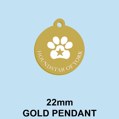 HS 22mm Gold Pendant