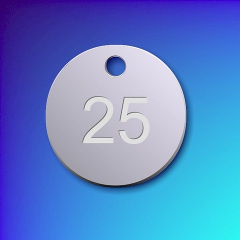 Numbered Aluminium Tags - Silver Disc