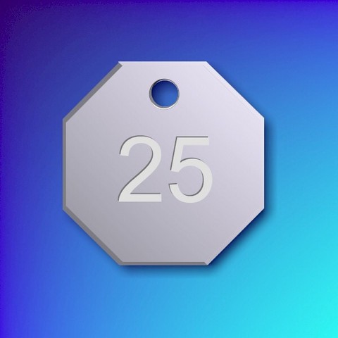 Numbered Aluminium Tags - Silver Octagon